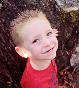 手机号轰炸免费软件